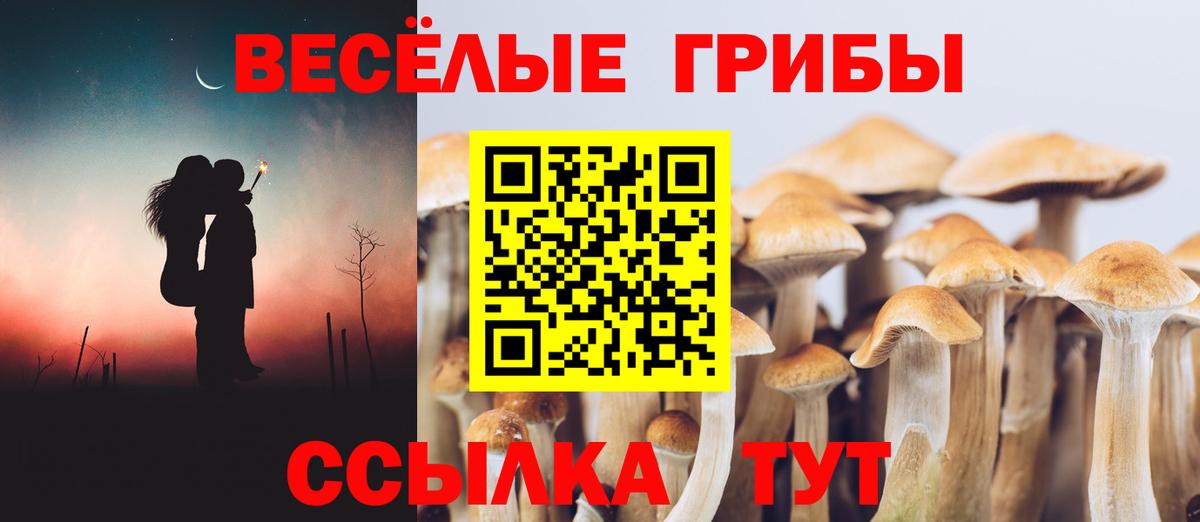 Псилоцибиновые грибы ЛСД  Вход с VPN  Галлюциногенные грибы Magic Shrooms  Анжеро-Судженск 